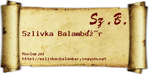 Szlivka Balambér névjegykártya
